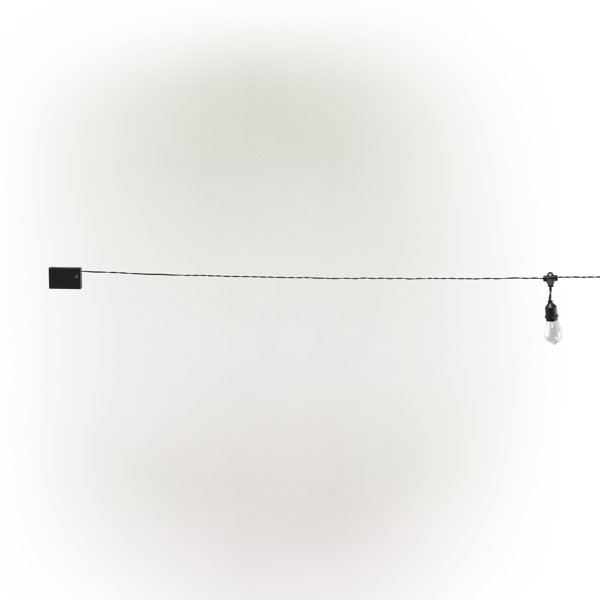 Williston Marro 7.5'' Indoor LED Battery Powered 10 Bulb Globe